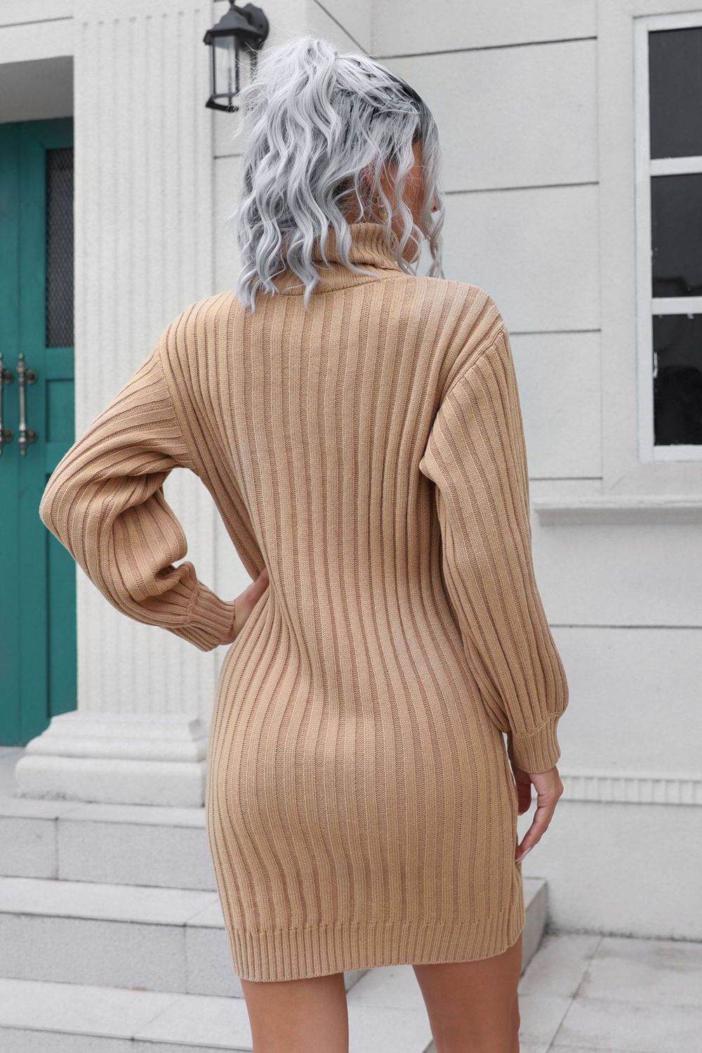 Ribbed Turtle Neck Long Sleeve Mini Sweater Dress