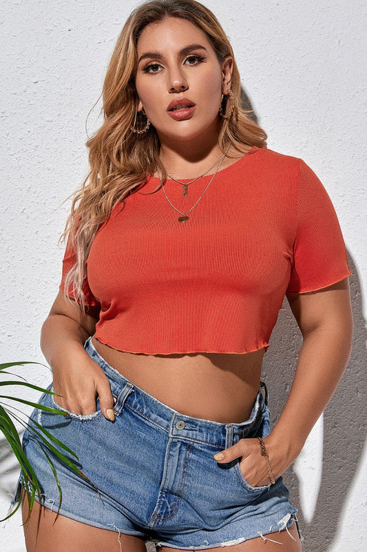 Plus Size Round Neck Short Sleeve Cropped T-Shirt