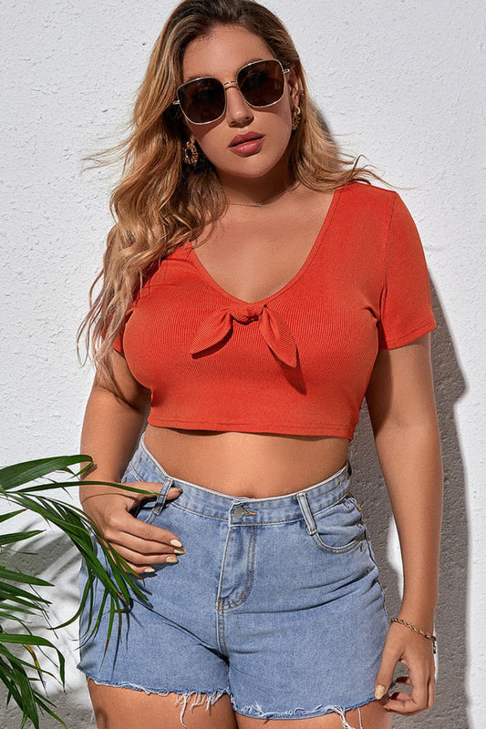 Plus Size Tied Plunge Cropped T-Shirt