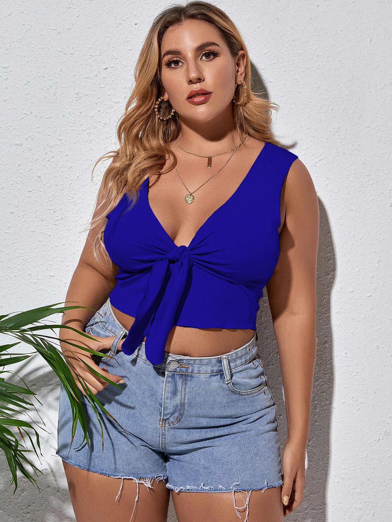 Plus Size Tie Front Sleeveless Plunge Crop Top