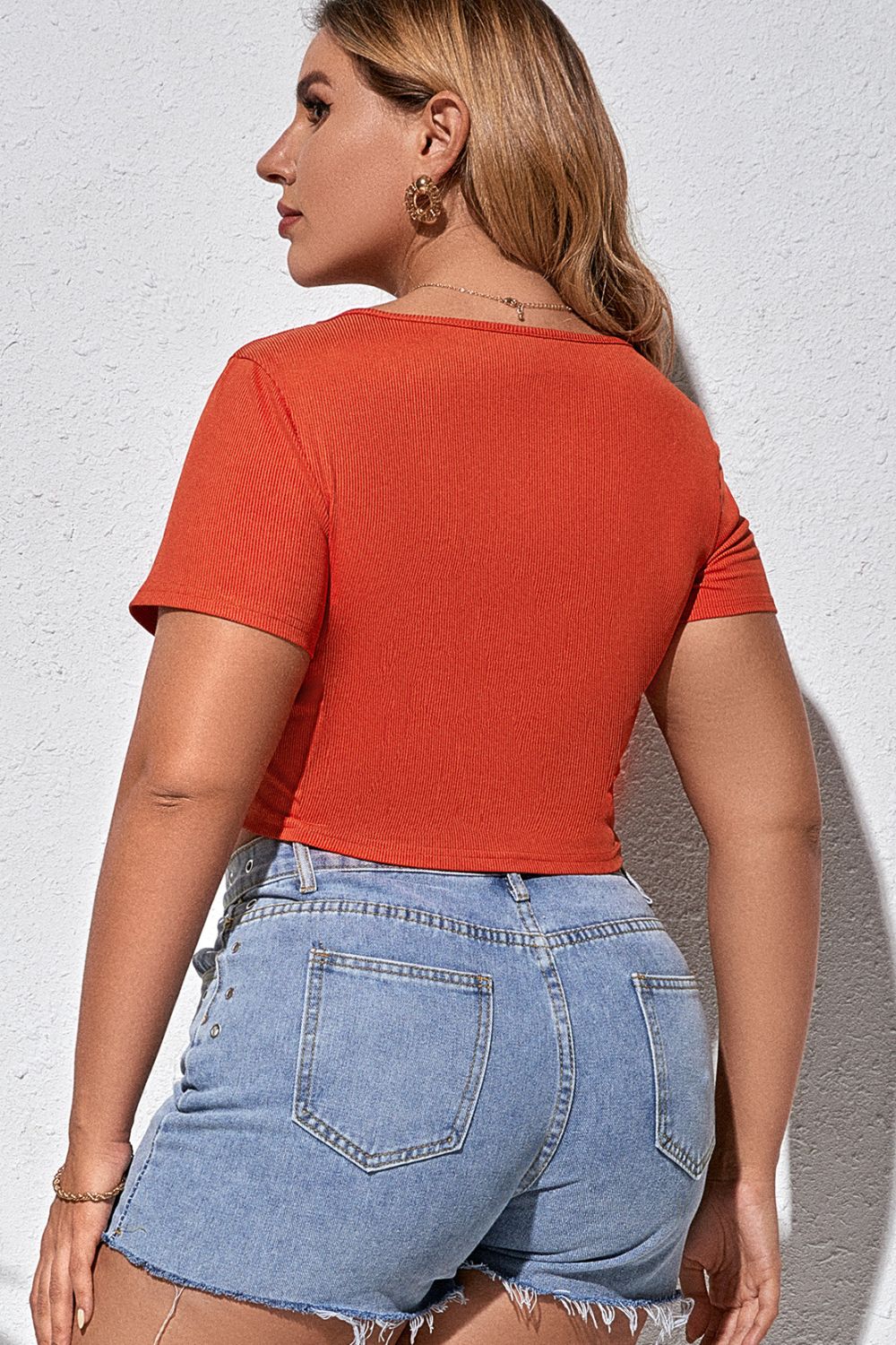 Plus Size Tied Plunge Cropped T-Shirt