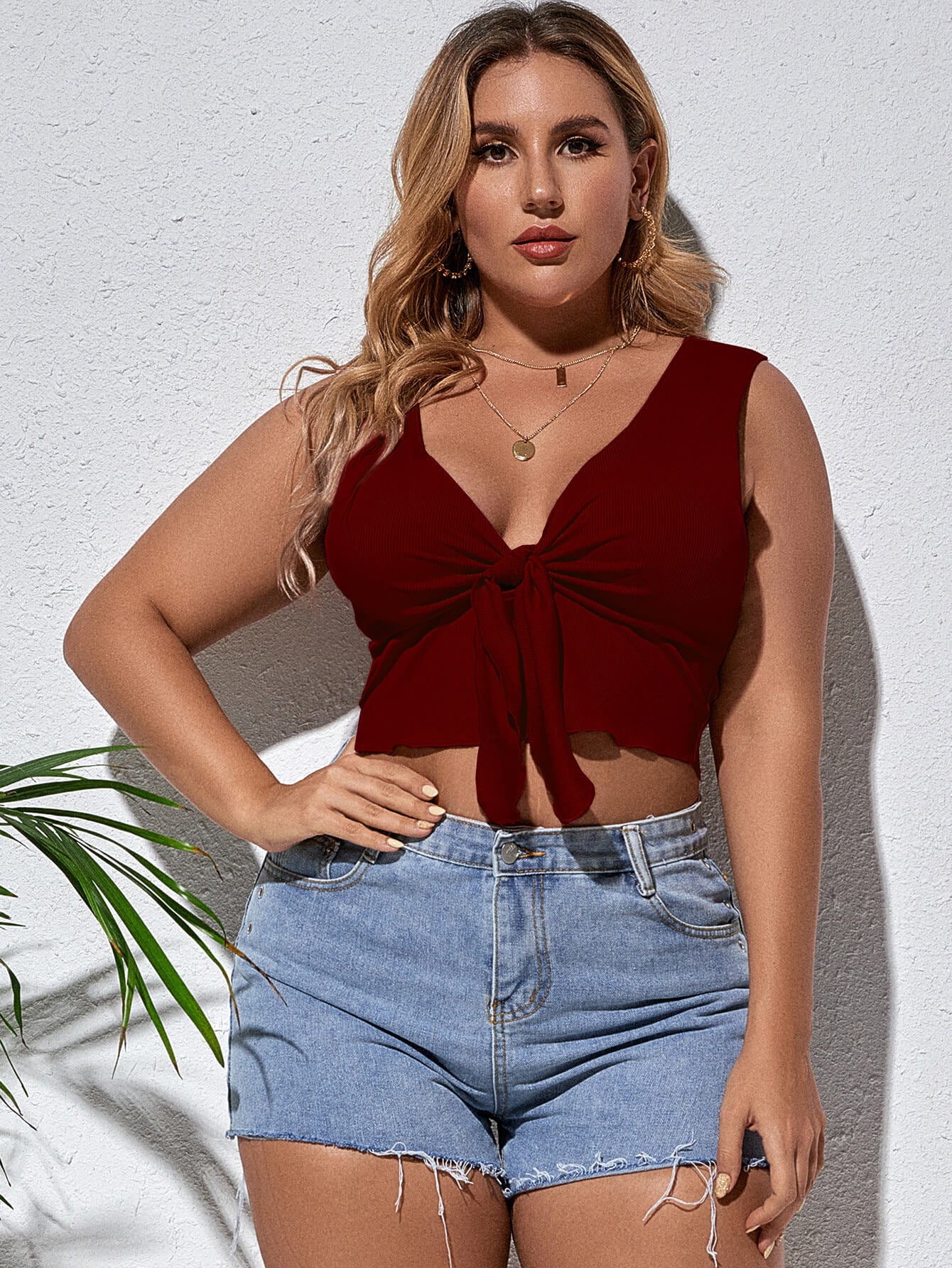 Plus Size Tie Front Sleeveless Plunge Crop Top