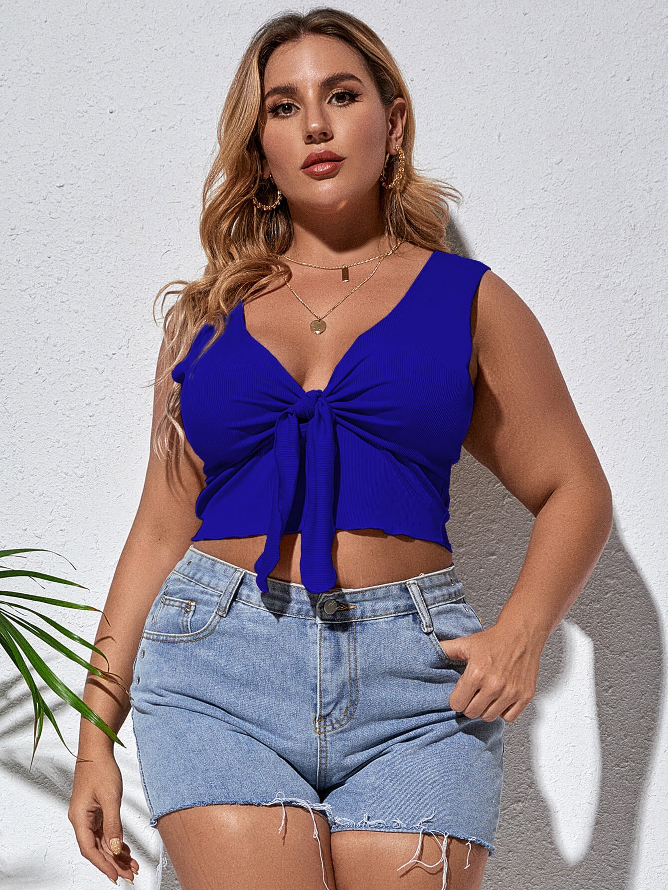 Plus Size Tie Front Sleeveless Plunge Crop Top